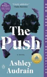 The Push: A Novel