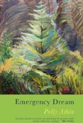 Emergency Dream