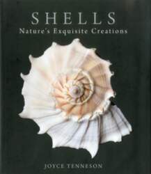 Shells: Nature`s Exquisite Creations