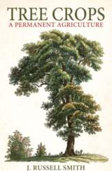 Tree Crops: A Permanent Agriculture