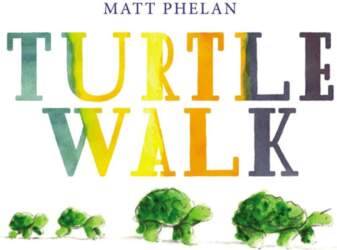 Turtle Walk