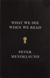 What We See When We Read