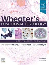 Wheater`s Functional Histology
