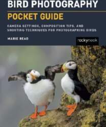 Bird Photography: Pocket Guide: Camera Settings