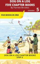 Five Chapter Books 5: Decodable Series