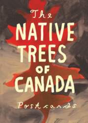 Native Trees of Canada: A Postcard