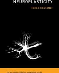 Neuroplasticity