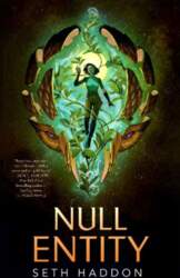 Null Entity