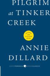 Pilgrim at Tinker Creek