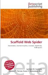 Scaffold Web Spider