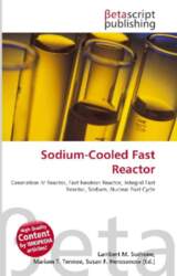 Sodium-Cooled Fast Reactor
