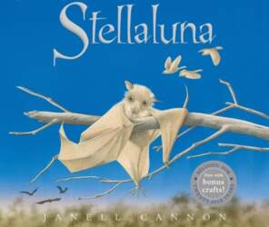 Stellaluna Lap