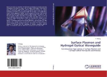 Surface Plasmon and Hydrogel Optical Waveguide:
