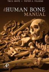 The Human Bone Manual