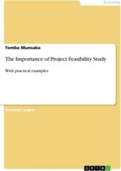 The Importance of Project Feasibility Study:
