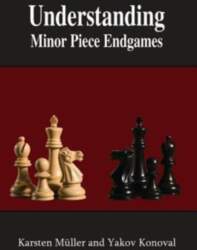 Understanding Minor Piece Endgames