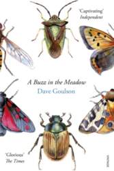 A Buzz in the Meadow