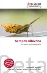 Acrapex Albivena: Noctuidae, Lepidoptera, Moth