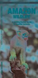 Amazon Wildlife, 2nd Ed: A Folding