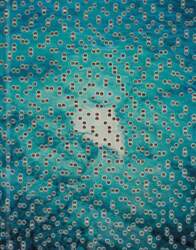 Andrin Winteler: Floating Point