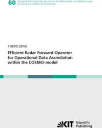 Efficient Radar Forward Operator for Operational