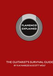 Flamenco Explained