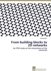 From building blocks to 2D networks: