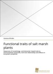 Functional traits of salt marsh plants: