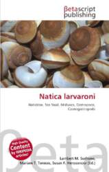 Natica larvaroni