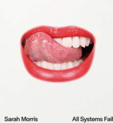 Sarah Morris: All Systems Fail