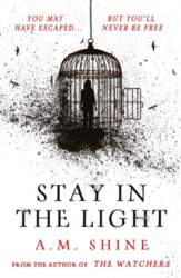 Stay in the Light