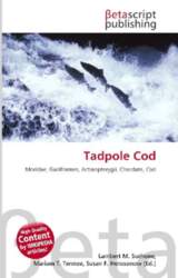 Tadpole Cod: Moridae, Gadiformes, Actinopterygii, Chordate