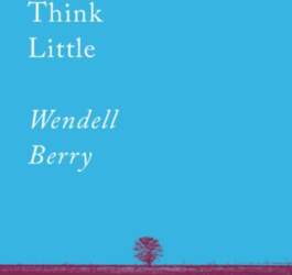 Think Little: Essays