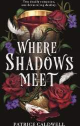 Where Shadows Meet