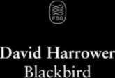 Blackbird
