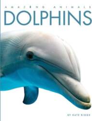 Dolphins