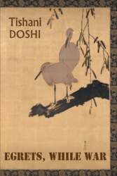 Egrets, While War