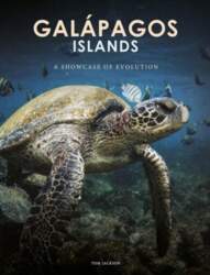 Galapagos Islands: A Showcase of Evolution