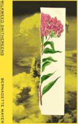 Milkweed Smithereens
