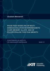 Phase-field modeling of multi-domain evolution in