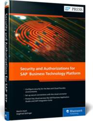 Security and Authorizations for SAP Business