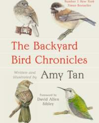 The Backyard Bird Chronicles