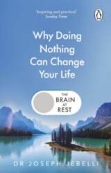 The Brain at Rest: Why doing