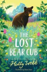The Lost Bear Cub