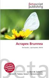 Acrapex Brunnea: Noctuidae, Lepidoptera, Moth