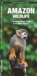 Amazon Wildlife, 2nd Ed: A Folding