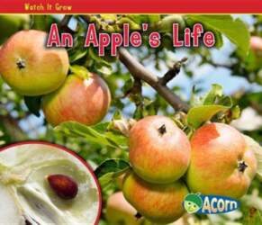 An Apple`s Life