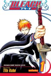 Bleach, Vol. 1