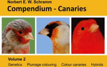 Compendium-Canaries, Volume 2