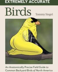 Extremely Accurate Birds: An Anatomically Precise
